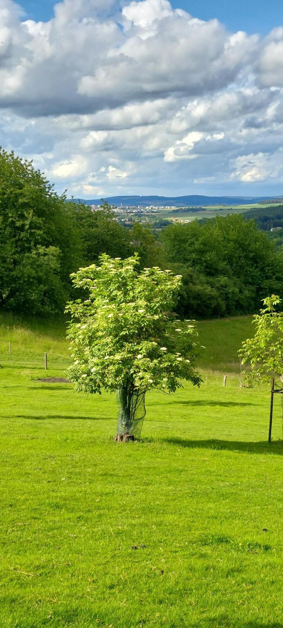 Chata Na Samote, Sumava Vrhavec ภายนอก รูปภาพ
