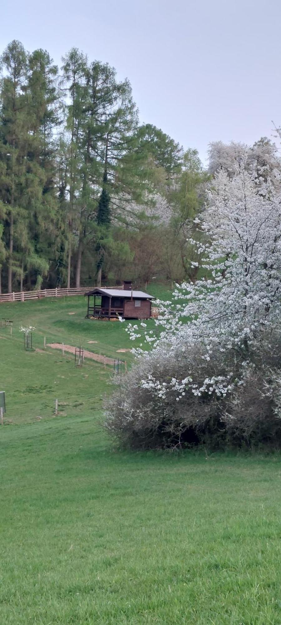 Chata Na Samote, Sumava Vrhavec ภายนอก รูปภาพ